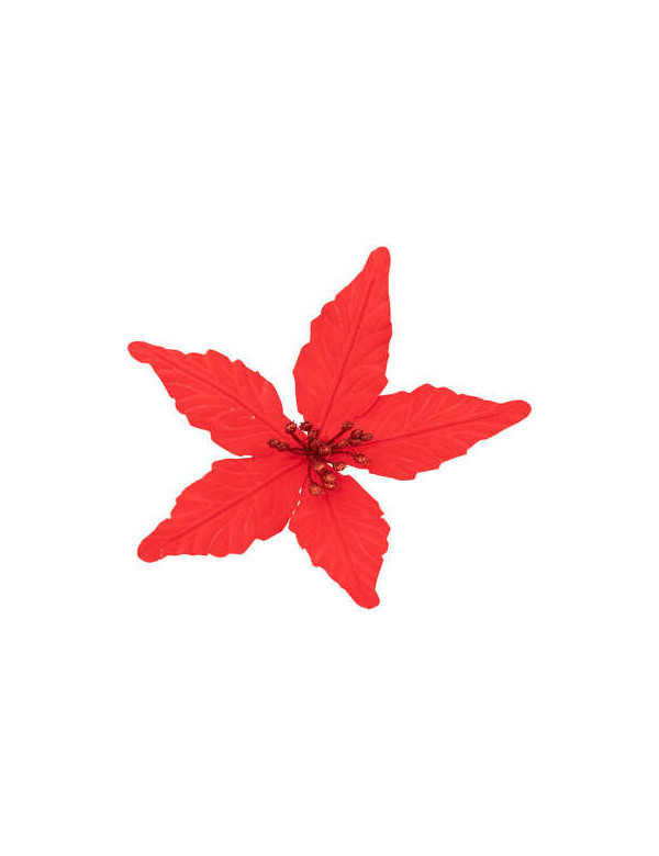 Poinsettia rouge à pince