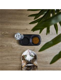 Gamelle Distributeur Eau Pour Chat