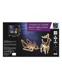 Rennes et traineau lumineux