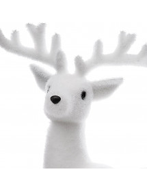 Renne polaire debout