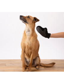 Gant demassage pour chien
