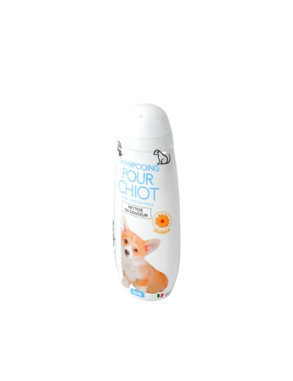 shampooing chiot