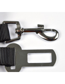 ceinture de sécurité pour chien