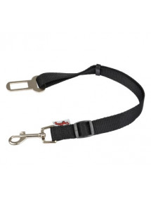 laisse chien voiture