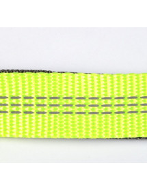 kit course pour chien