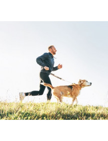 Kit de canicross réfléchissant