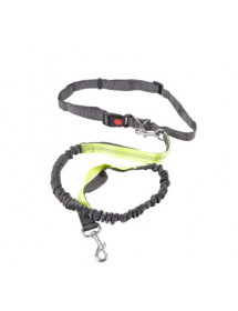 harnais et laisse course à pied