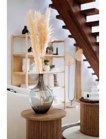 Fleurs séchées Pampa naturelle Atmosphera x3