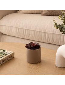 Plante grasse artificiel