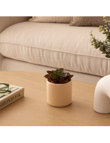 fausse plante