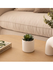 Plante grasse artificielle Nils Atmosphera