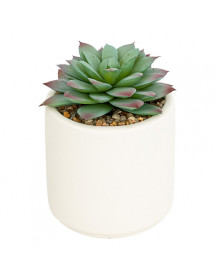 Plante artificiel Atmosphera