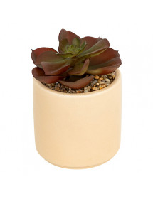 Plante grasse artificielle Nils Atmosphera