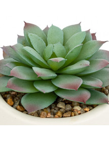 Plante grasse artificielle Nils Atmosphera