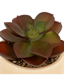 Plante grasse artificielle Nils Atmosphera