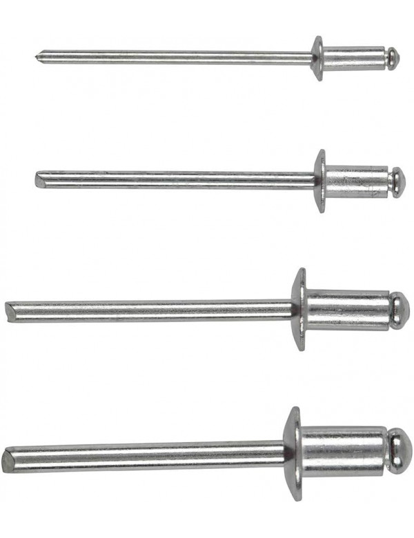100 Rivets Aveugles Assortis 100 Rivets Aveugles Assortis