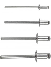 100 Rivets Aveugles Assortis