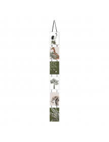 Pêle-mêle Gabor 6 photos 10x15 cm.