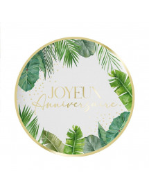 Assiettes Anniversaire tropical party x6