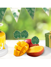 Pics déco Anniversaire tropical party x12