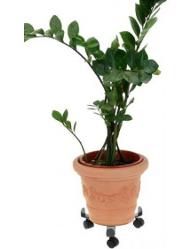 Porte Plante A Roulettes Réglable