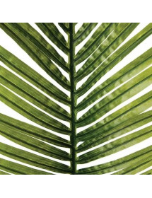 Tige De Palmier Artificiel Atmosphera