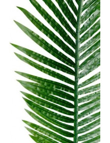 Tige De Palmier Artificiel Atmosphera