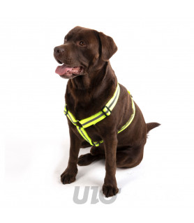 Harnais fluo pour chien