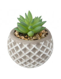 Succulente Pot Ciment Atmosphera