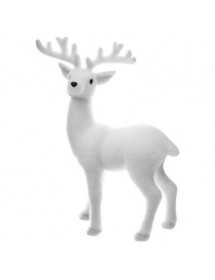 Renne polaire debout