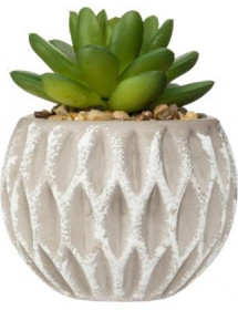 Succulente Pot Ciment Atmosphera