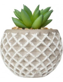 Succulente Pot Ciment Atmosphera