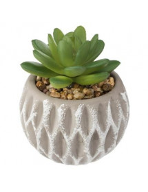 Succulente Pot Ciment Atmosphera