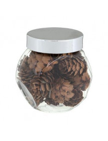 Mini Pomme de pin x24