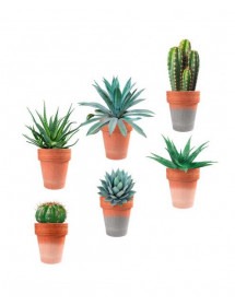 Sticker murale Pots avec Plantes