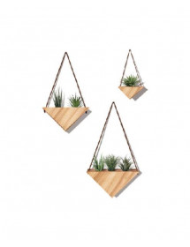 Sticker Suspensions Plantes et Bois