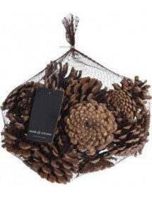 Pomme de Pin Naturel en filet