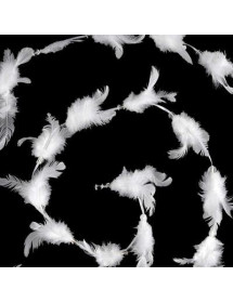 Guirlande de plumes blanches 200 cm – Décoration élégante et festive