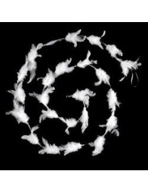 Guirlande de plumes blanches 200 cm – Décoration élégante et festive