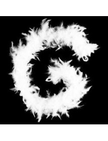 Guirlande boa plumes blanches