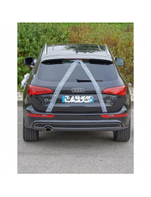 Déco de voiture pour mariage