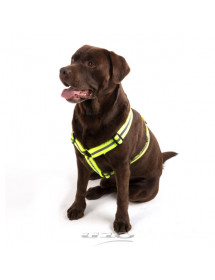 Harnais réfléchissant pour chien 50 à 70 cm.